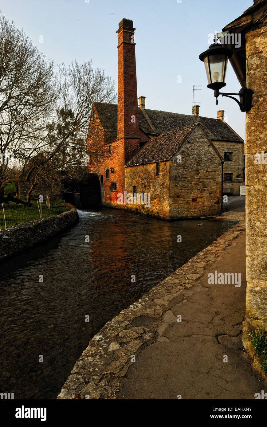 How Old Is Mikasa Ackerman In JoJo Bizarre Adventure if She Isnt